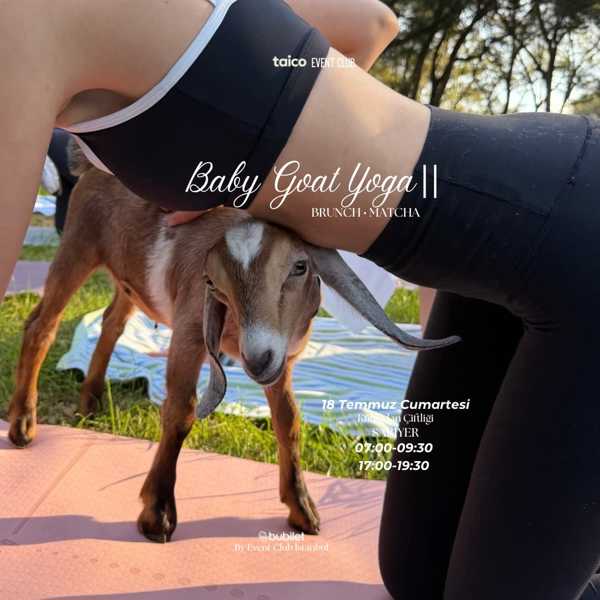 Baby Goat Yoga II