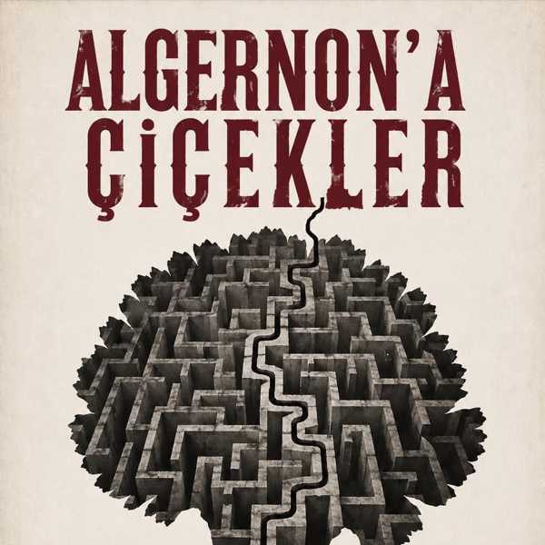 Algernon'a Çiçekler