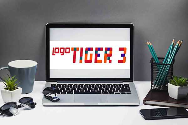 Logo Tiger 3 Enterprise ile Ön Muhasebe Uygulamaları