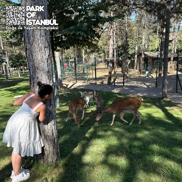 Park Of stanbul  Hayvanat Bahesi ve zel Kafe Mens 