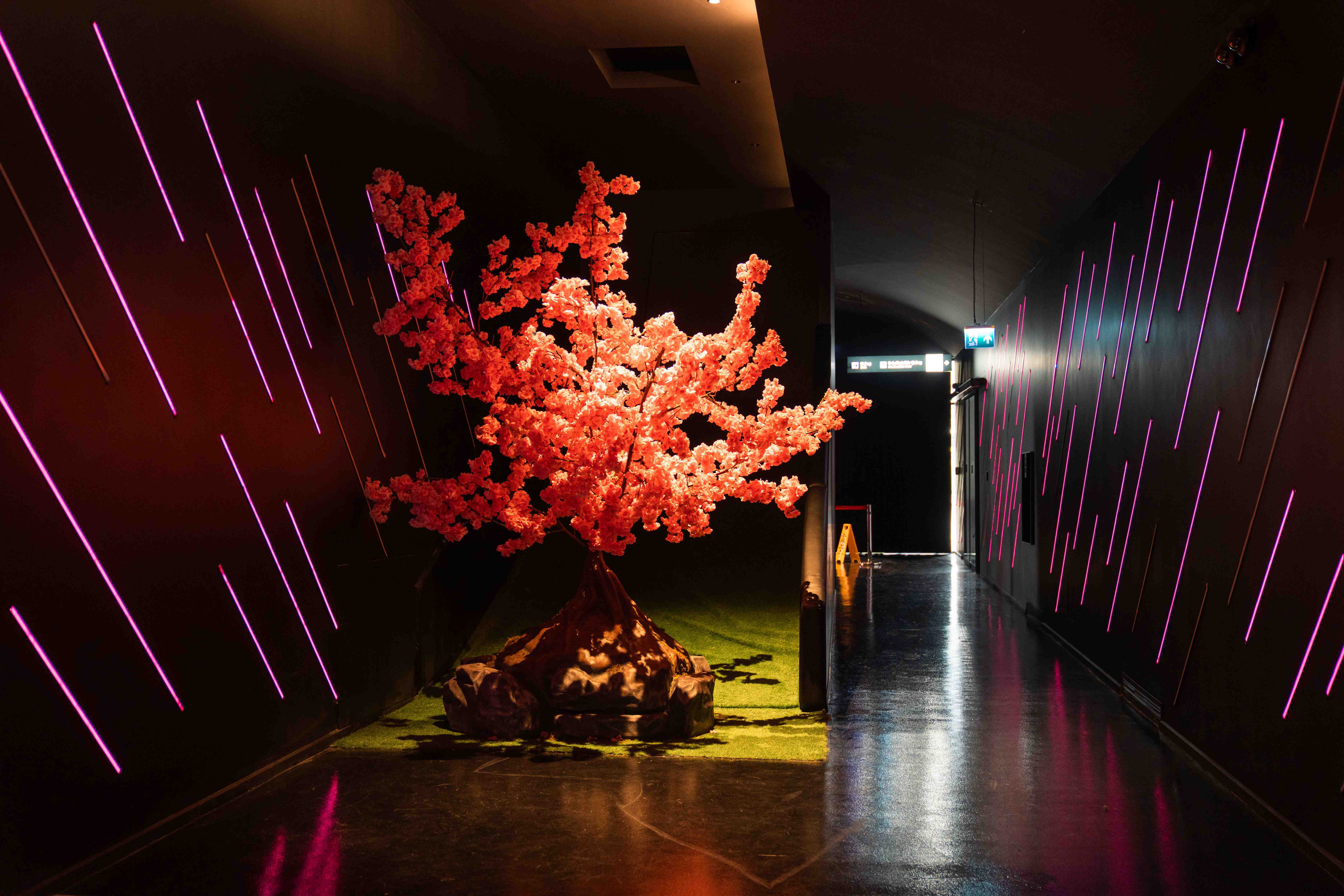 Dijital Koridor Detay 1