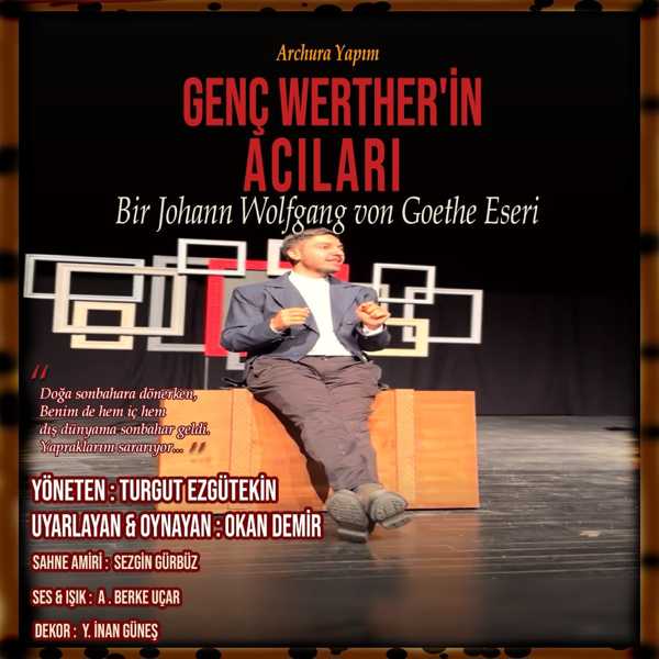 Genç Werther'in Acıları 