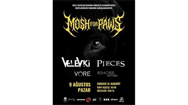 Mosh for Paws! 
