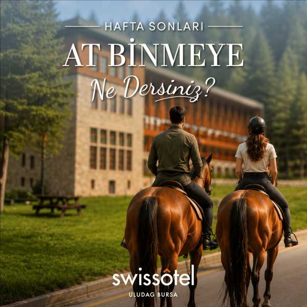 At Binme Deneyimi
