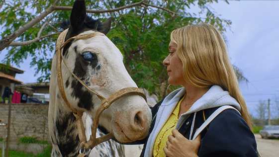 Sihirli Çiftlik (Magic Farm) 