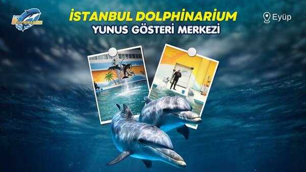 İstanbul Dolphinarium 10 Dakikalık Yunuslarla Yüzme - Tanışma
