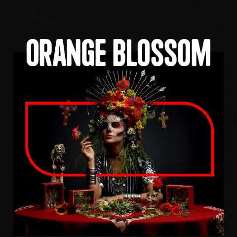 Orange Blossom