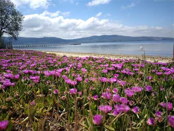 MİSYA YOLU, ERDEK KAPIDAĞ YARIMADASI, 2 GÜN TREKKİNG