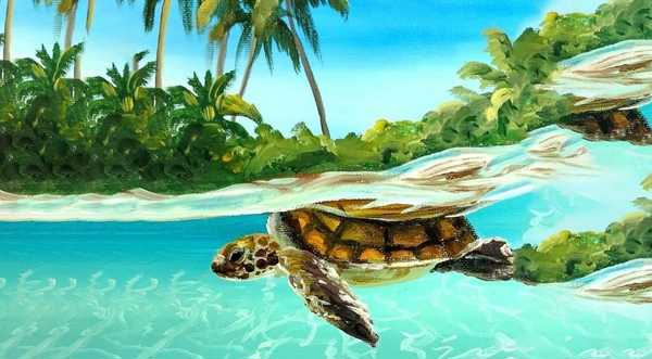 Resim - Caretta Caretta

