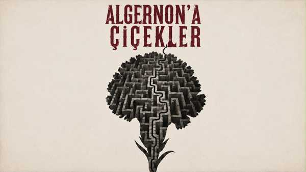 Algernon'a Çiçekler