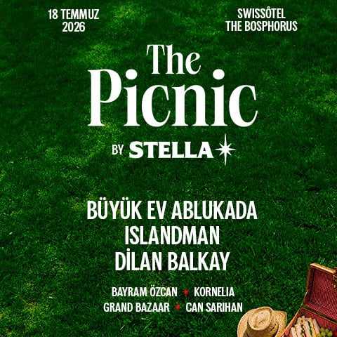 The Picnic