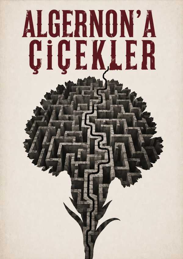 Algernon'a Çiçekler