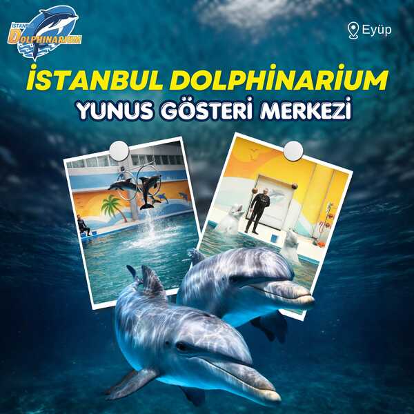 İstanbul Dolphinarium Yunus Gösteri Merkezi